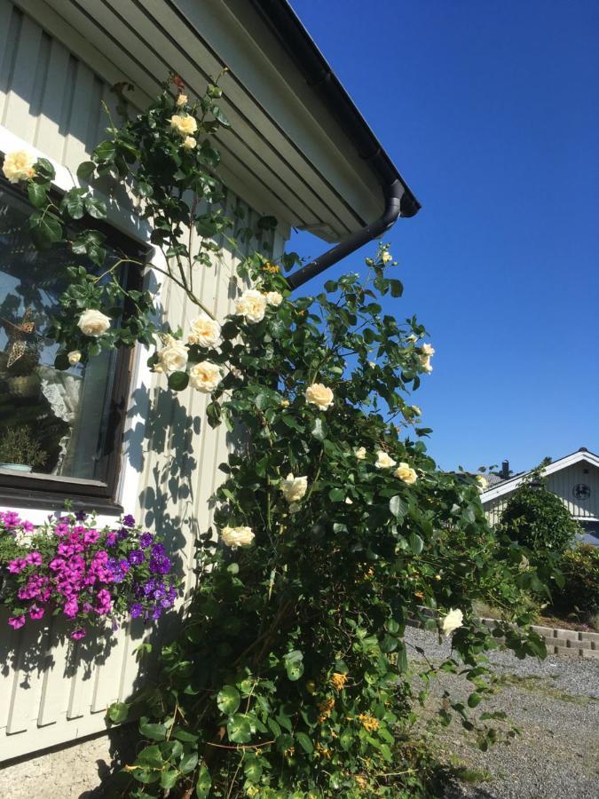 Airbnbekasberg Olofstorp ภายนอก รูปภาพ