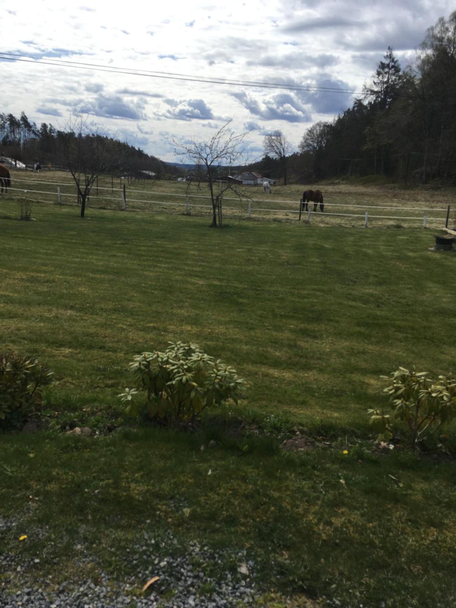 Airbnbekasberg Olofstorp ภายนอก รูปภาพ
