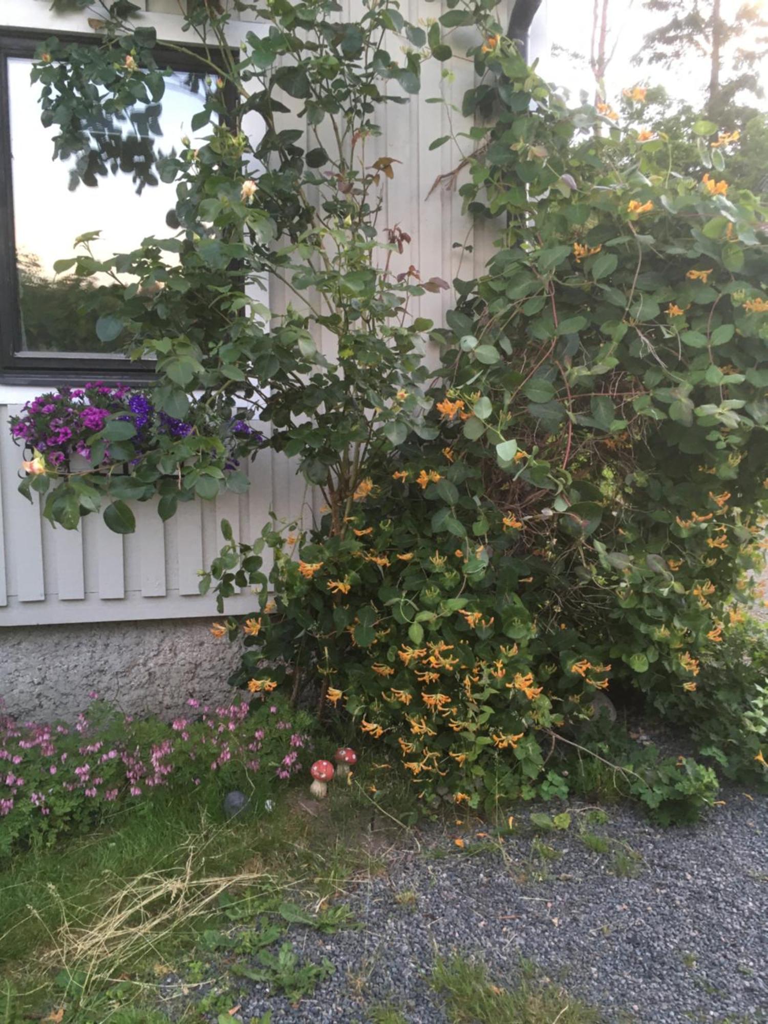 Airbnbekasberg Olofstorp ภายนอก รูปภาพ