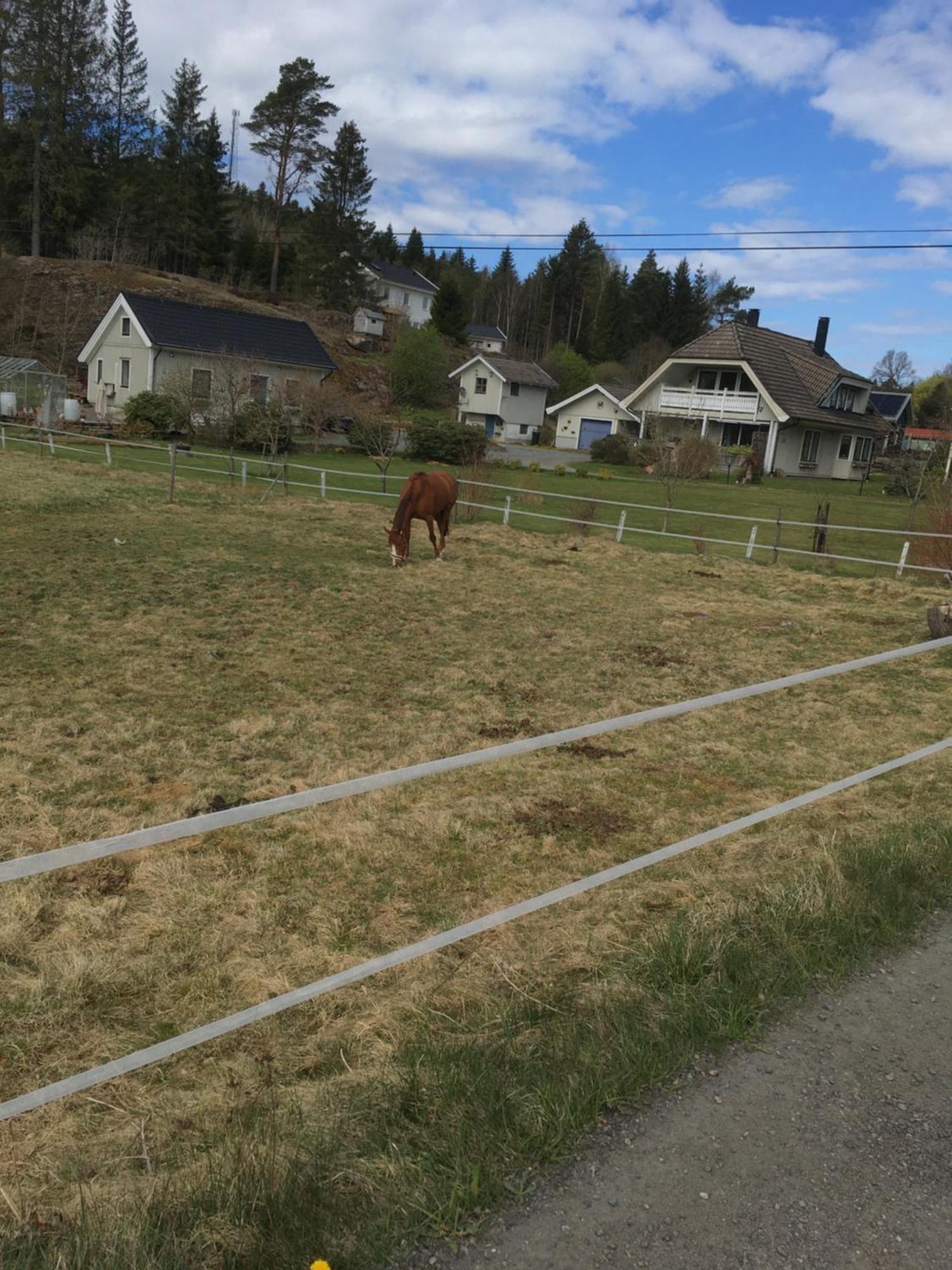 Airbnbekasberg Olofstorp ภายนอก รูปภาพ