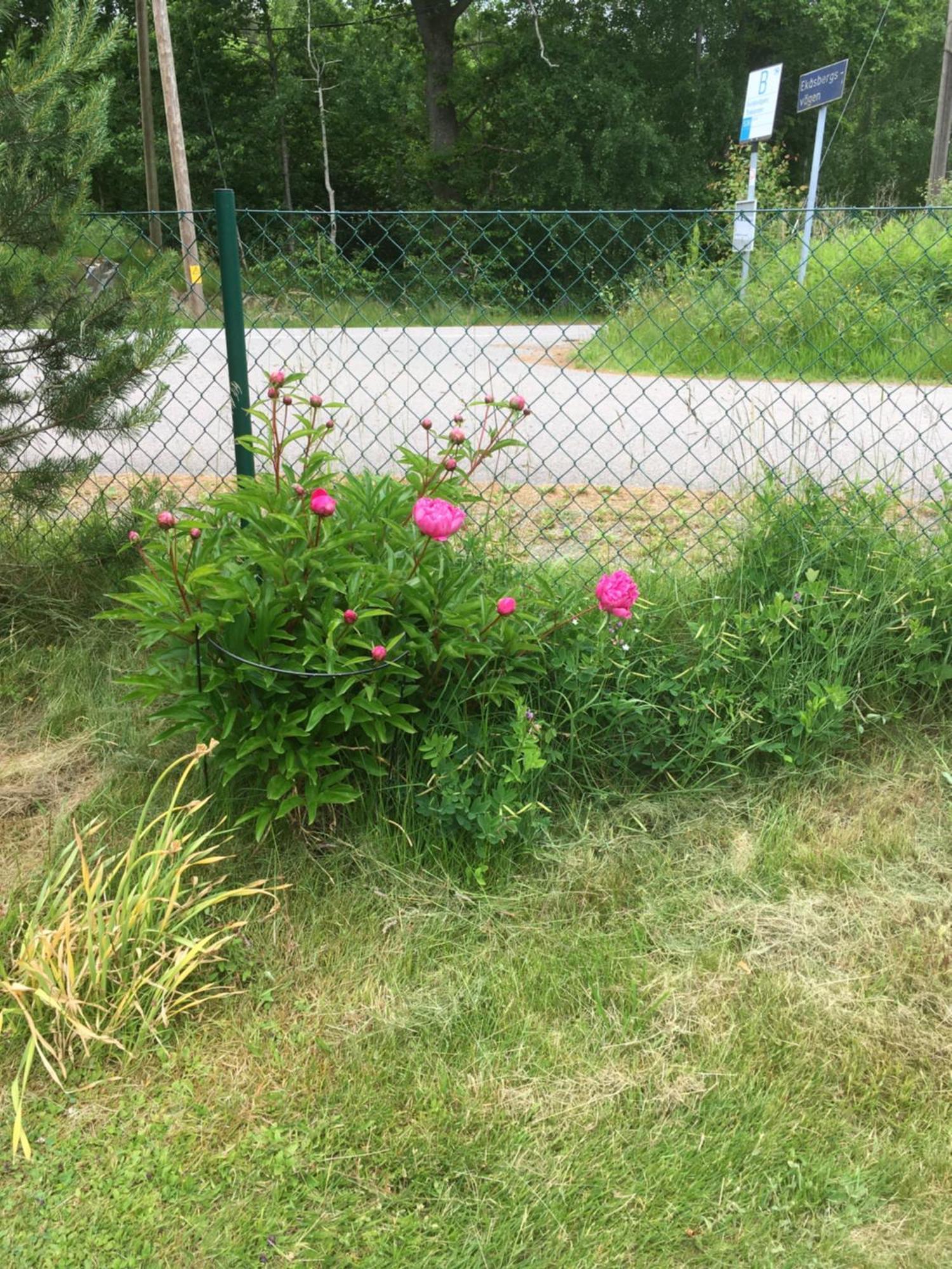 Airbnbekasberg Olofstorp ภายนอก รูปภาพ