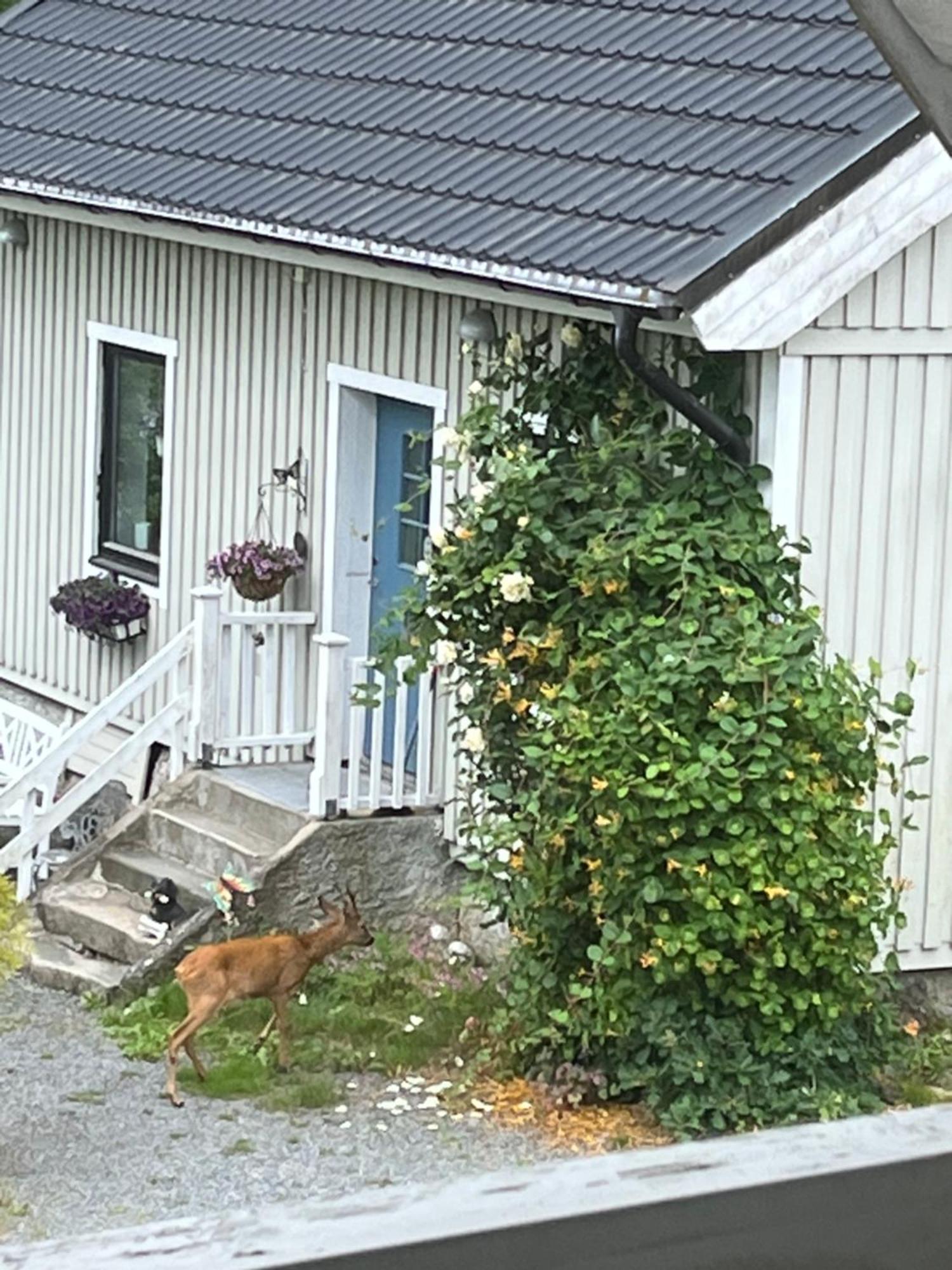Airbnbekasberg Olofstorp ภายนอก รูปภาพ